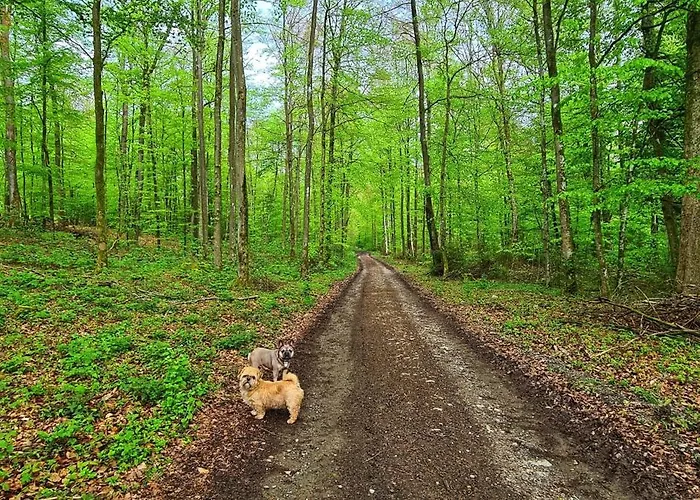 Apartment Dorfliebe Doernberg Talblick Bestwig